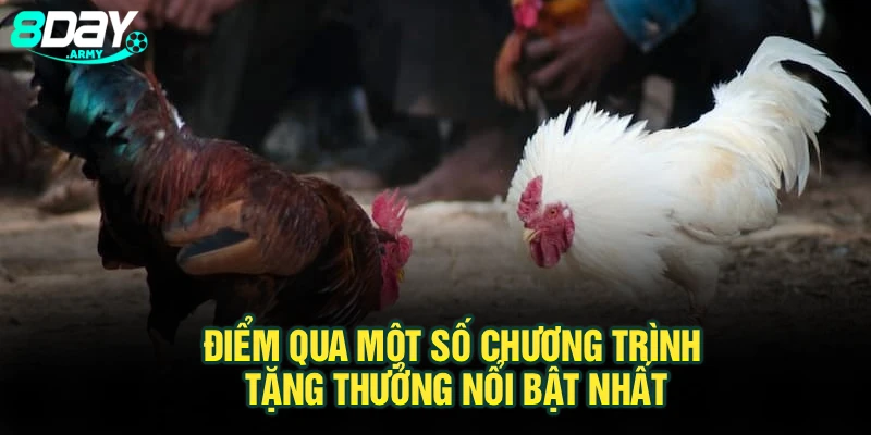 Điểm qua một số chương trình tặng thưởng nổi bật nhất