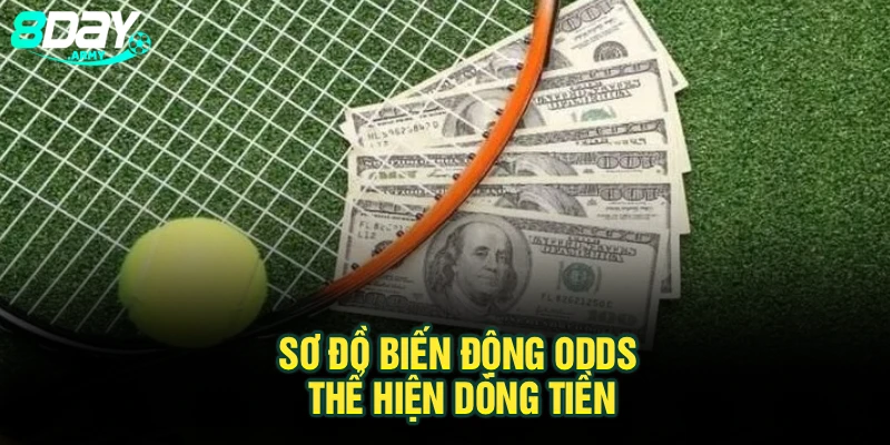 Sơ đồ biến động odds thể hiện dòng tiền