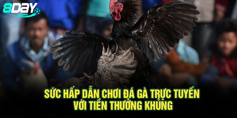 Sức hấp dẫn chơi đá gà trực tuyến với tiền thưởng khủng